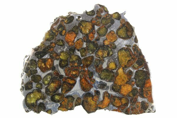 A slice of Sericho Pallasite showing large olivine crystals mixed with iron-nickle metal.